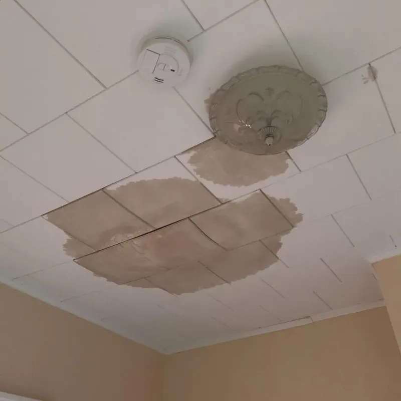 Ceiling Water Damage Repair in Bangs, TX