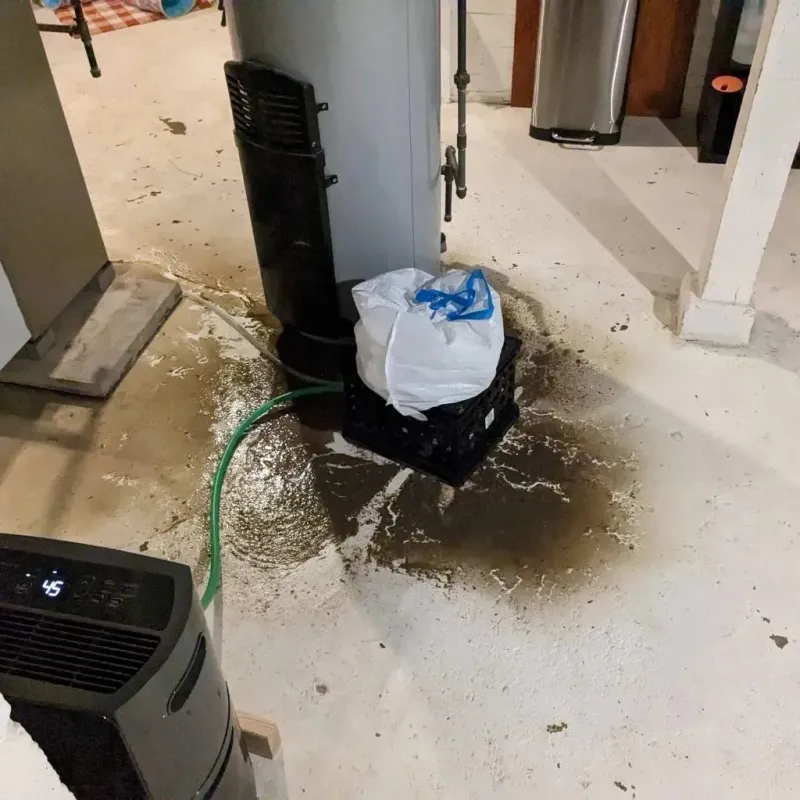 Sewage Backup Cleanup Service in Bangs, TX